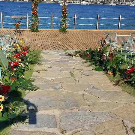리조트 Baia Bodrum