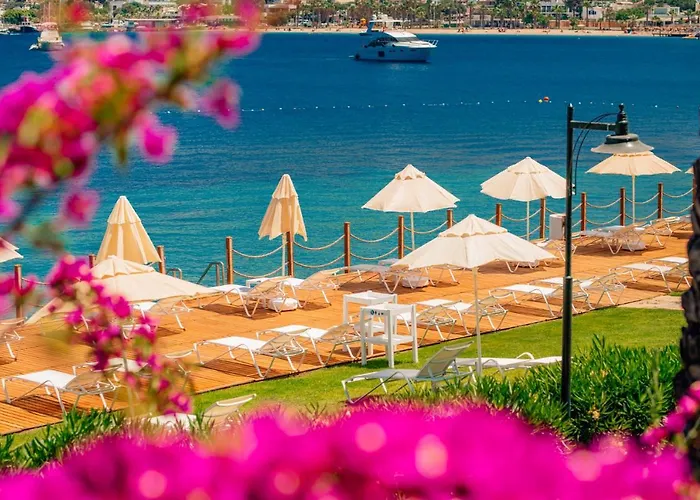 Semesteranläggning (resort) Baia Bodrum