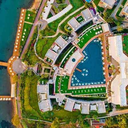 リゾート Baia Bodrum