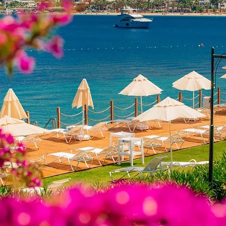 Semesteranläggning (resort) Baia Bodrum