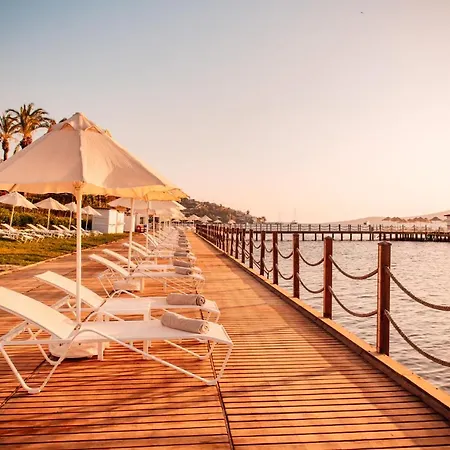 리조트 Baia Bodrum 군도간