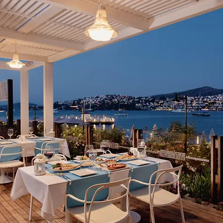 リゾート Baia Bodrum 5*